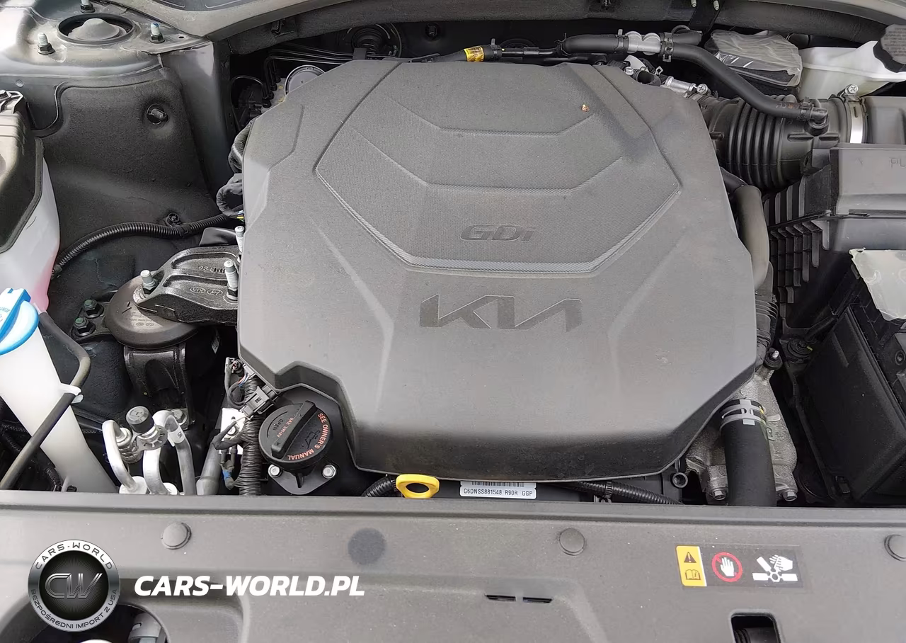 2025 Kia Telluride Ex VIN:5XYP3DGC9SG632294 - 10