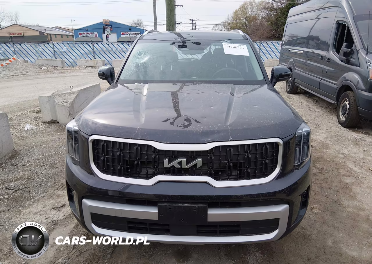 2025 Kia Telluride Ex VIN:5XYP3DGC9SG632294 - 12