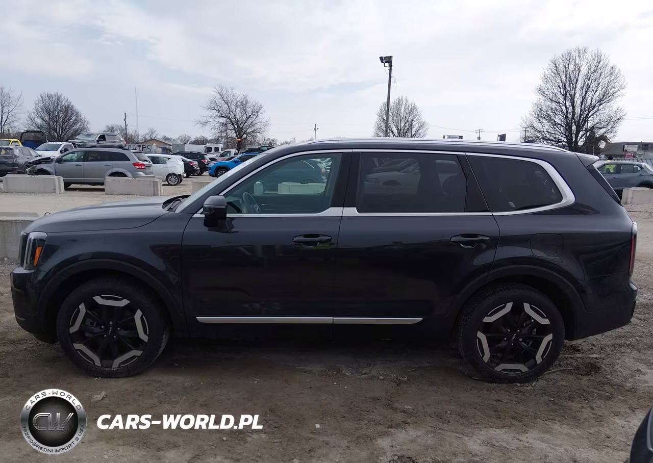 2025 Kia Telluride Ex VIN:5XYP3DGC9SG632294 - 14