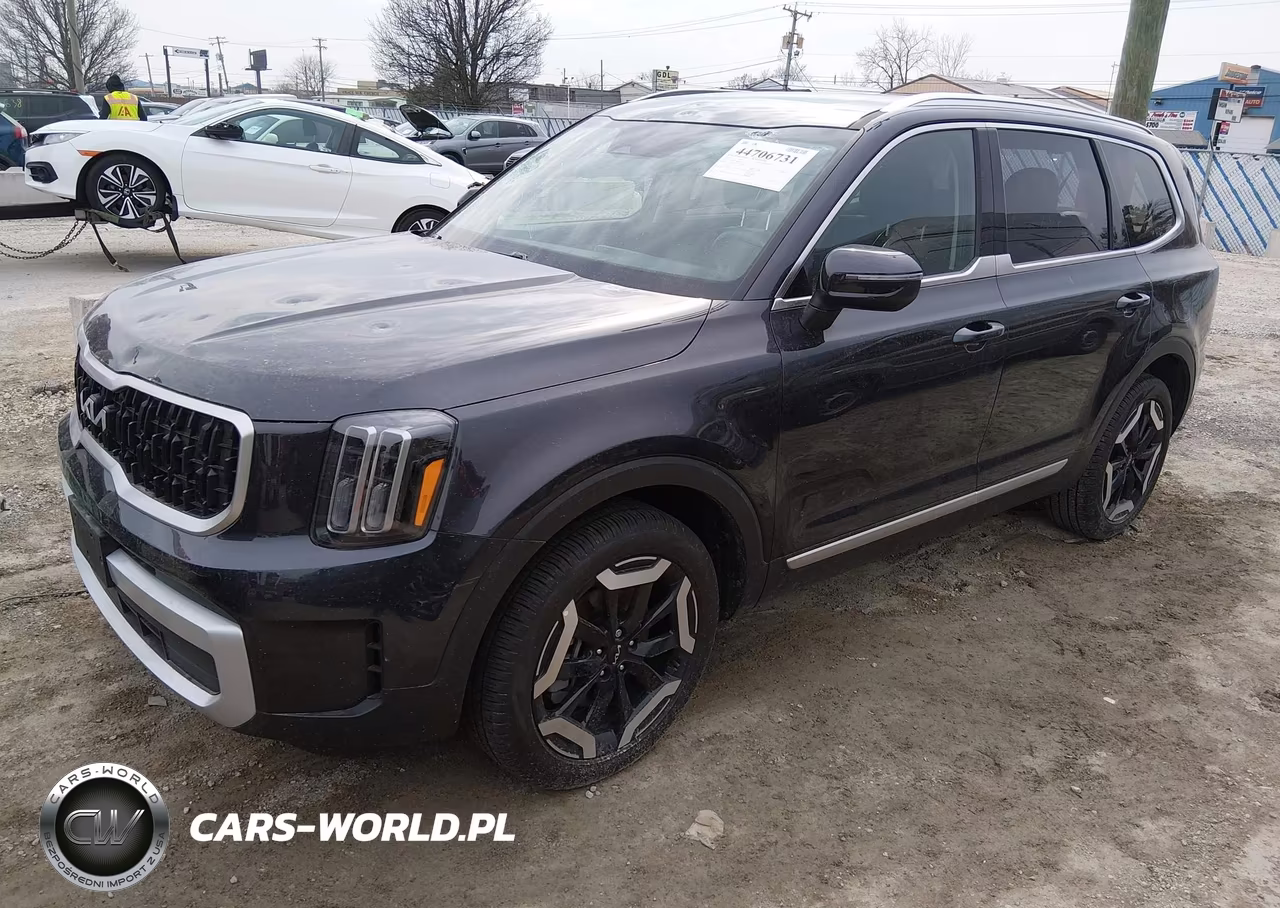2025 Kia Telluride Ex VIN:5XYP3DGC9SG632294 - 2
