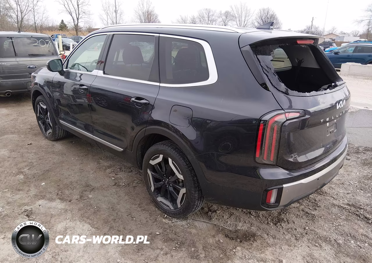 2025 Kia Telluride Ex VIN:5XYP3DGC9SG632294 - 3