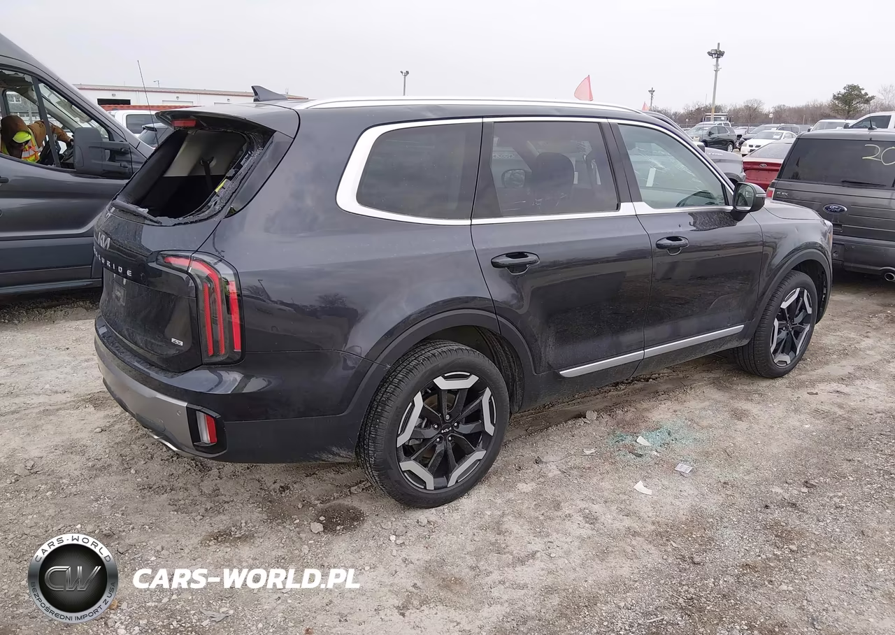 2025 Kia Telluride Ex VIN:5XYP3DGC9SG632294 - 4