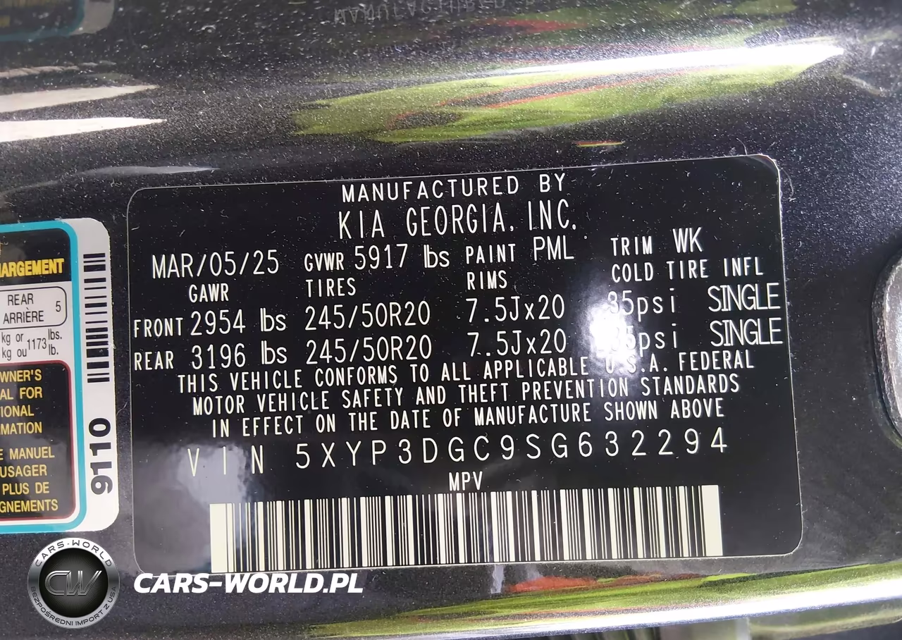2025 Kia Telluride Ex VIN:5XYP3DGC9SG632294 - 9