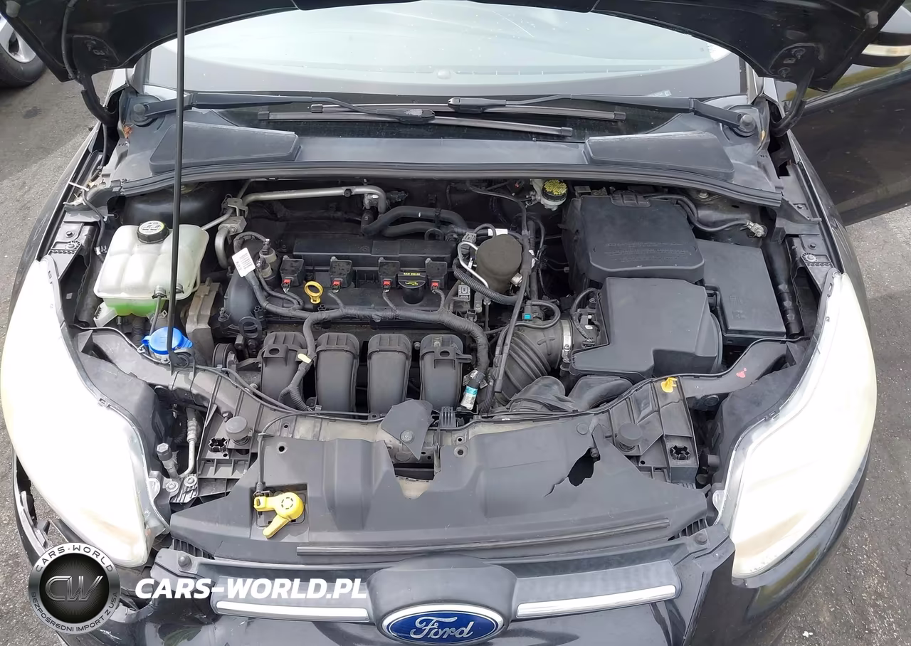 2013 Ford Focus Se VIN:1FADP3F27DL153704 - 10