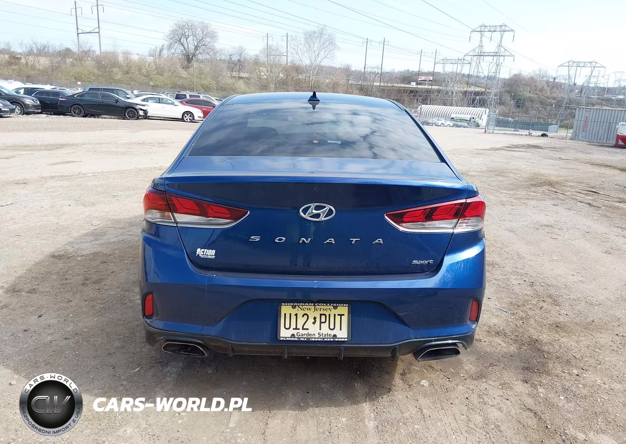 2019 Hyundai Sonata Sport VIN:5NPE34AF6KH733442 - 17