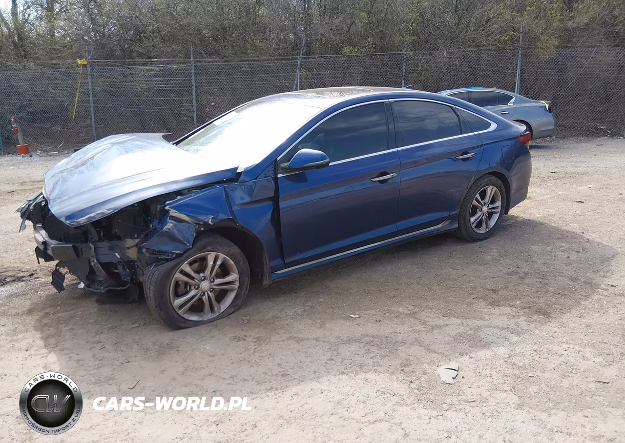 2019 Hyundai Sonata Sport VIN:5NPE34AF6KH733442 - 2