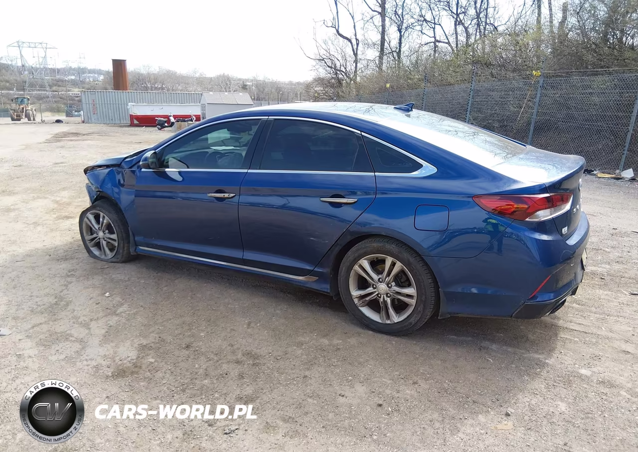 2019 Hyundai Sonata Sport VIN:5NPE34AF6KH733442 - 3