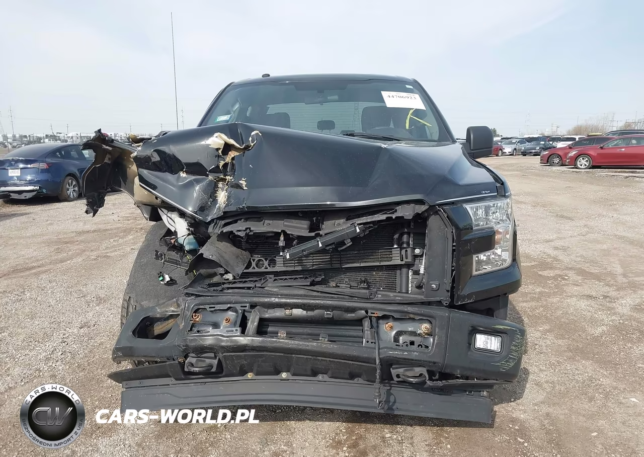 2017 Ford F-150 Xl VIN:1FTEX1EPXHKC89496 - 12
