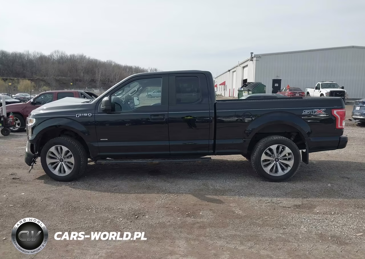 2017 Ford F-150 Xl VIN:1FTEX1EPXHKC89496 - 14
