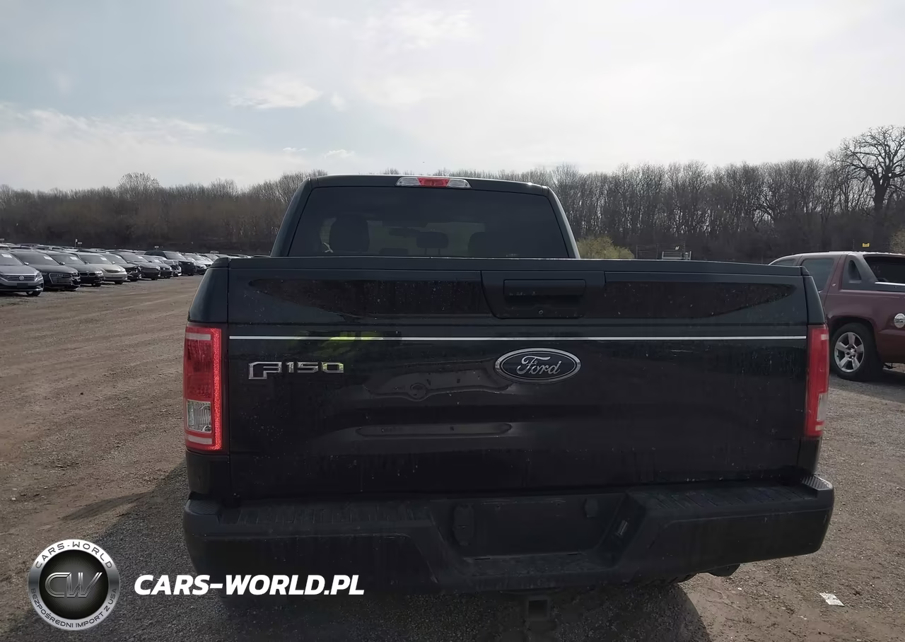 2017 Ford F-150 Xl VIN:1FTEX1EPXHKC89496 - 16