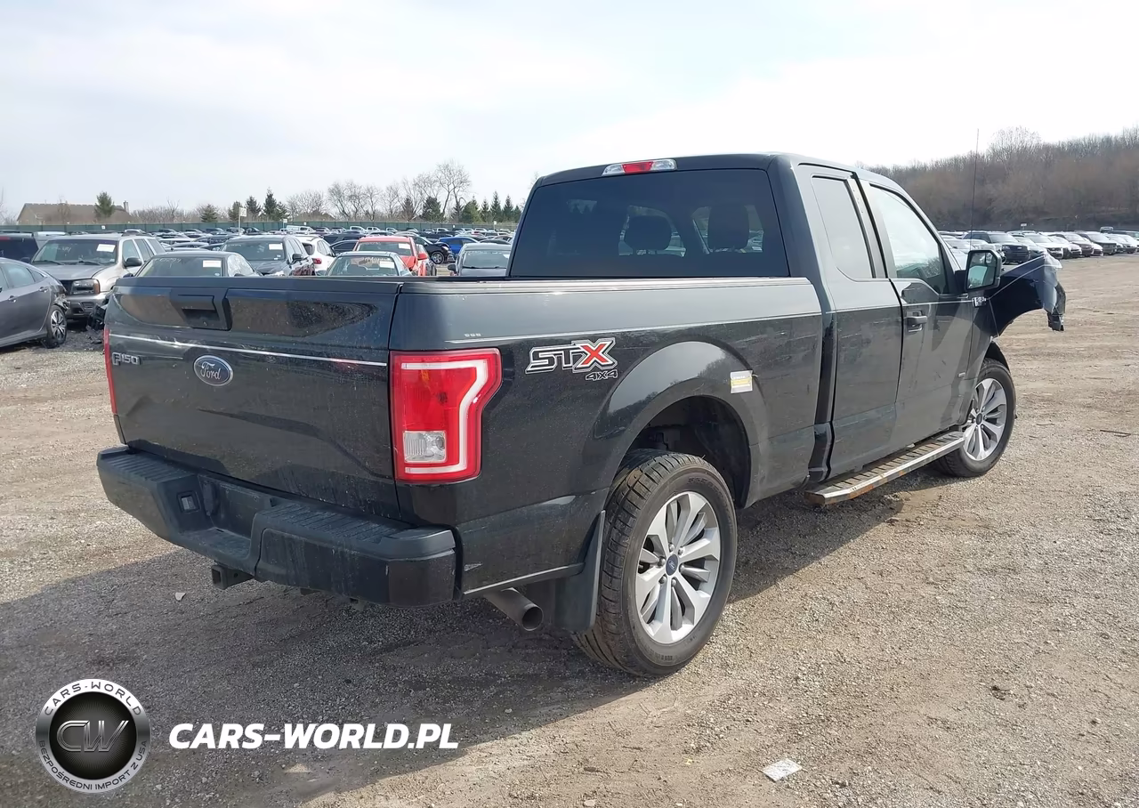 2017 Ford F-150 Xl VIN:1FTEX1EPXHKC89496 - 4
