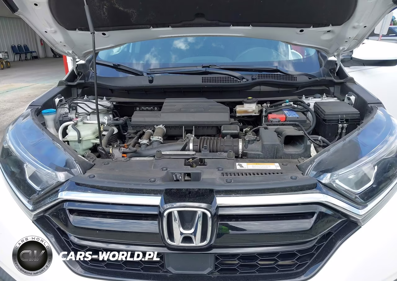 2021 Honda Cr-V 2Wd Special Edition VIN:5J6RW1H71ML009821 - 10