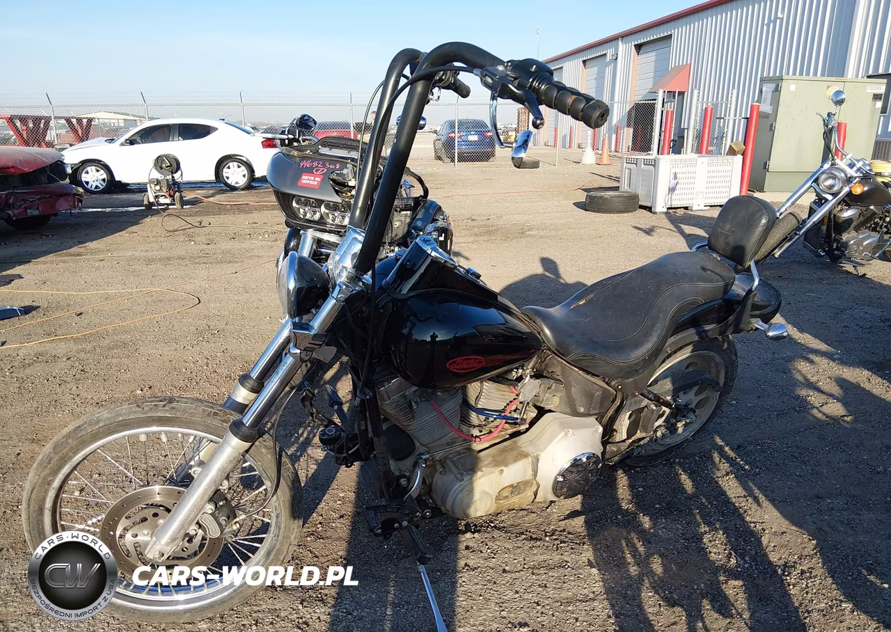 2006 Harley-Davidson Fxsti VIN:1HD1BVB166Y082665 - 12