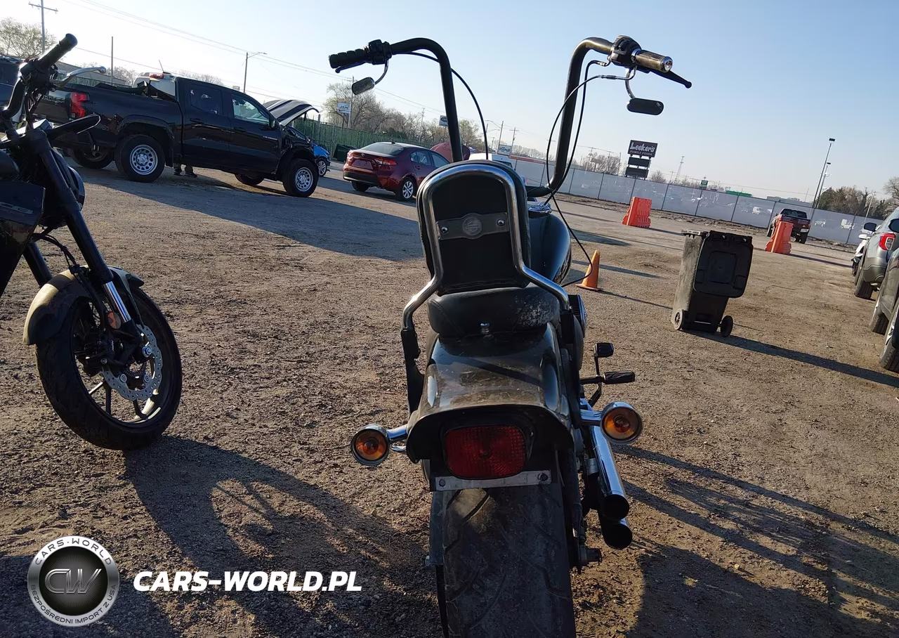 2006 Harley-Davidson Fxsti VIN:1HD1BVB166Y082665 - 6