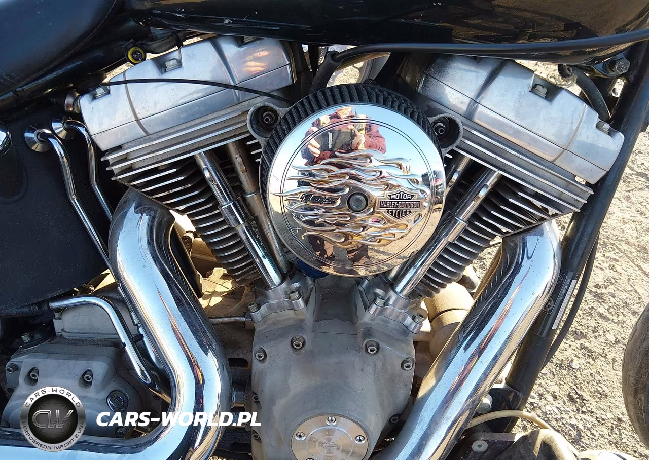 2006 Harley-Davidson Fxsti VIN:1HD1BVB166Y082665 - 8