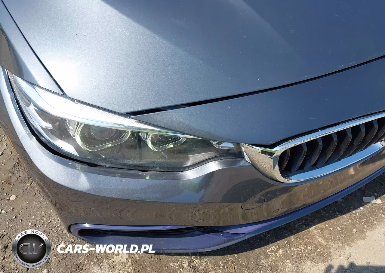 2019 BMW 430I Gran Coupe VIN:WBA4J1C50KBM17196 - 17