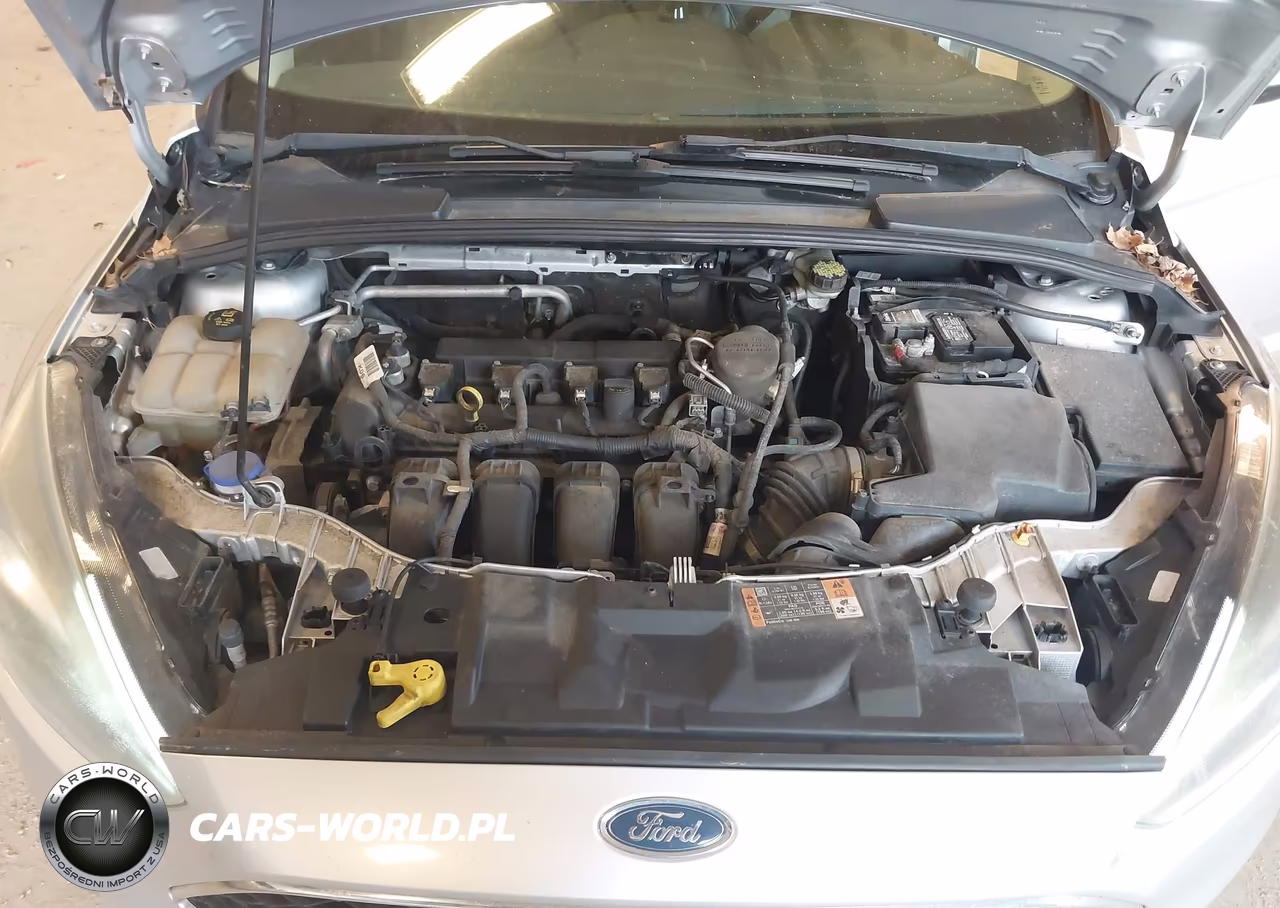 2016 Ford Focus Se VIN:1FADP3F29GL286162 - 10