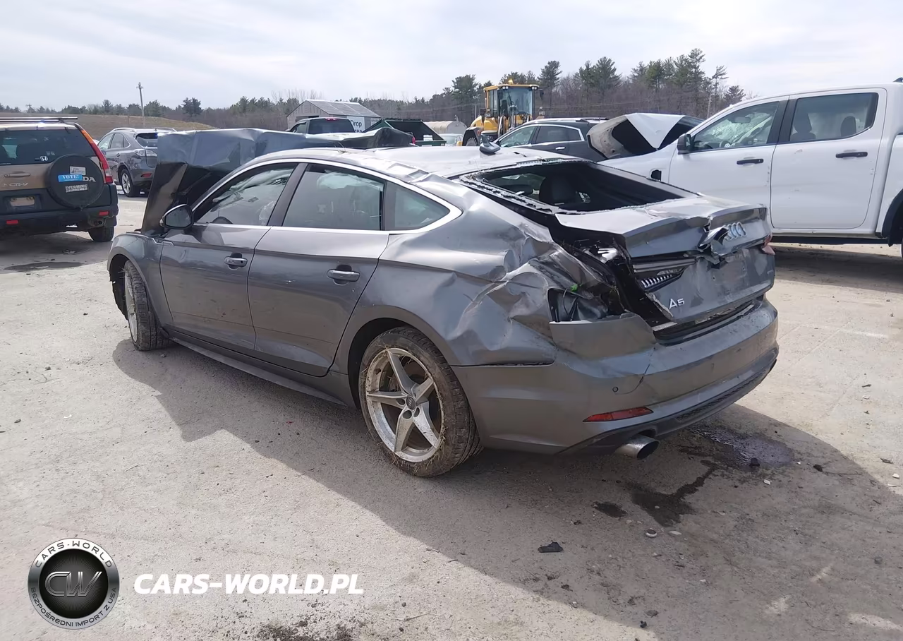 2019 Audi A5 45 Premium VIN:WAUENCF52KA010387 - 3