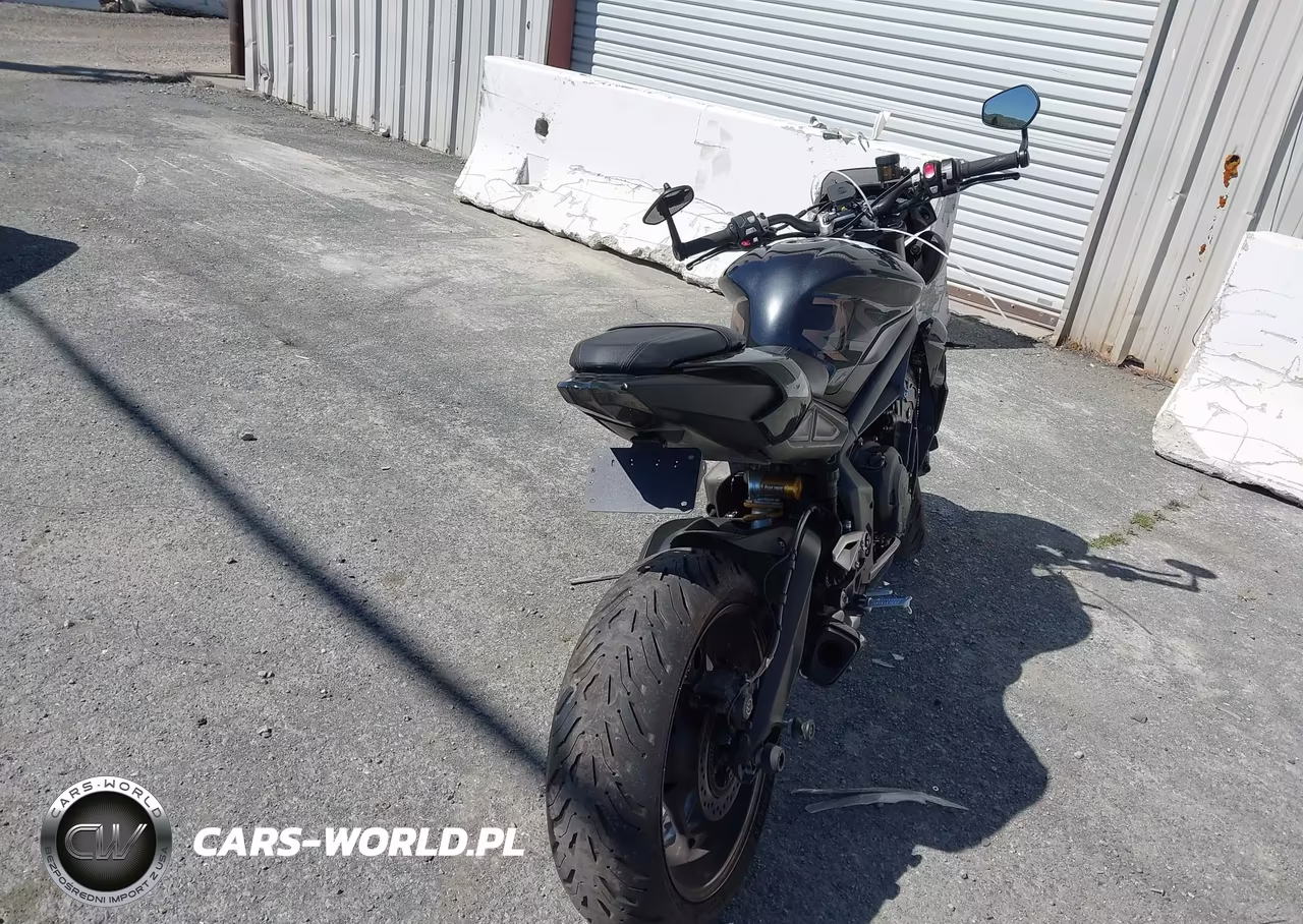 2023 Triumph Motorcycle Street Triple Rs VIN:SMTA554SXPTBE1388 - 4