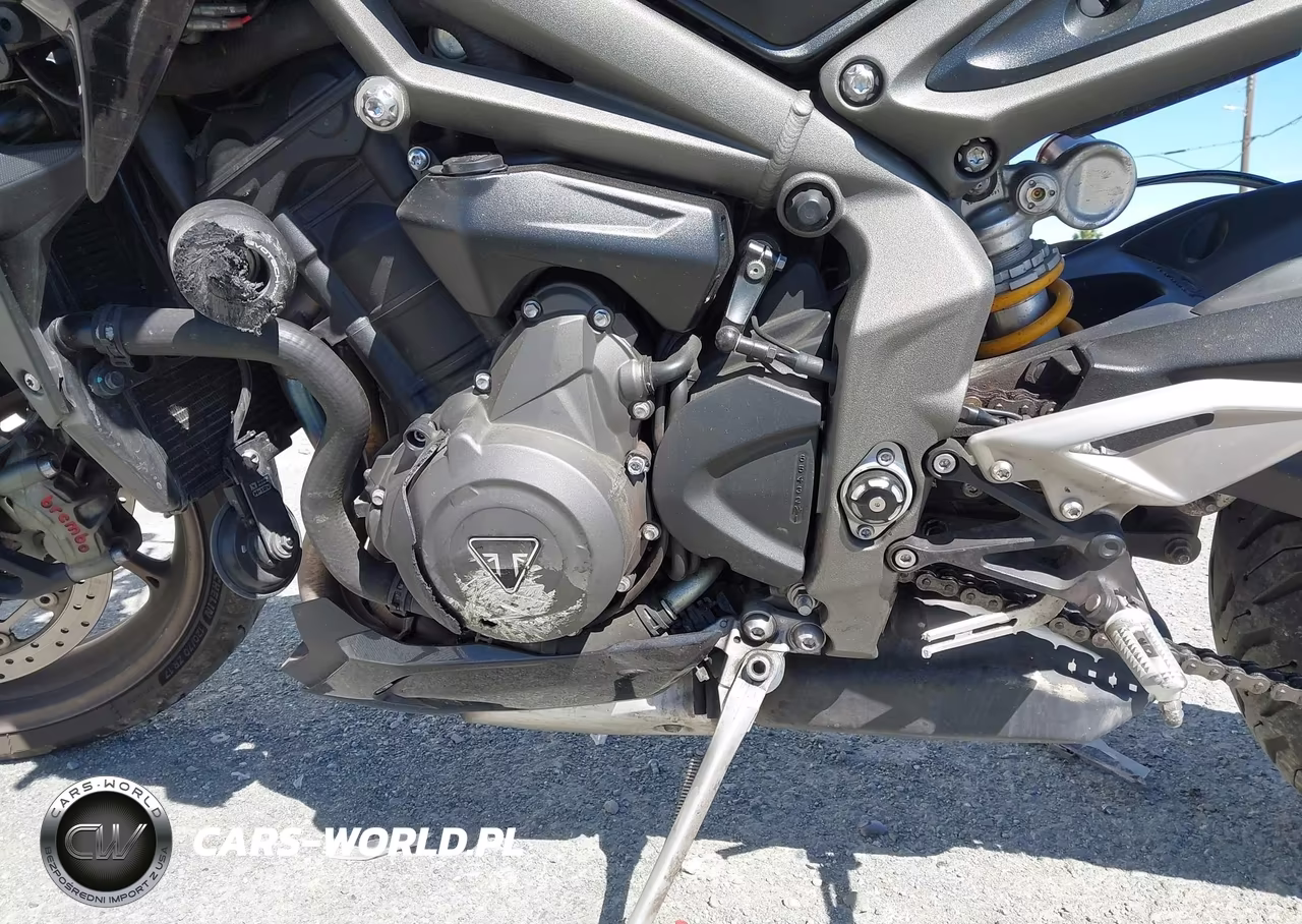 2023 Triumph Motorcycle Street Triple Rs VIN:SMTA554SXPTBE1388 - 9