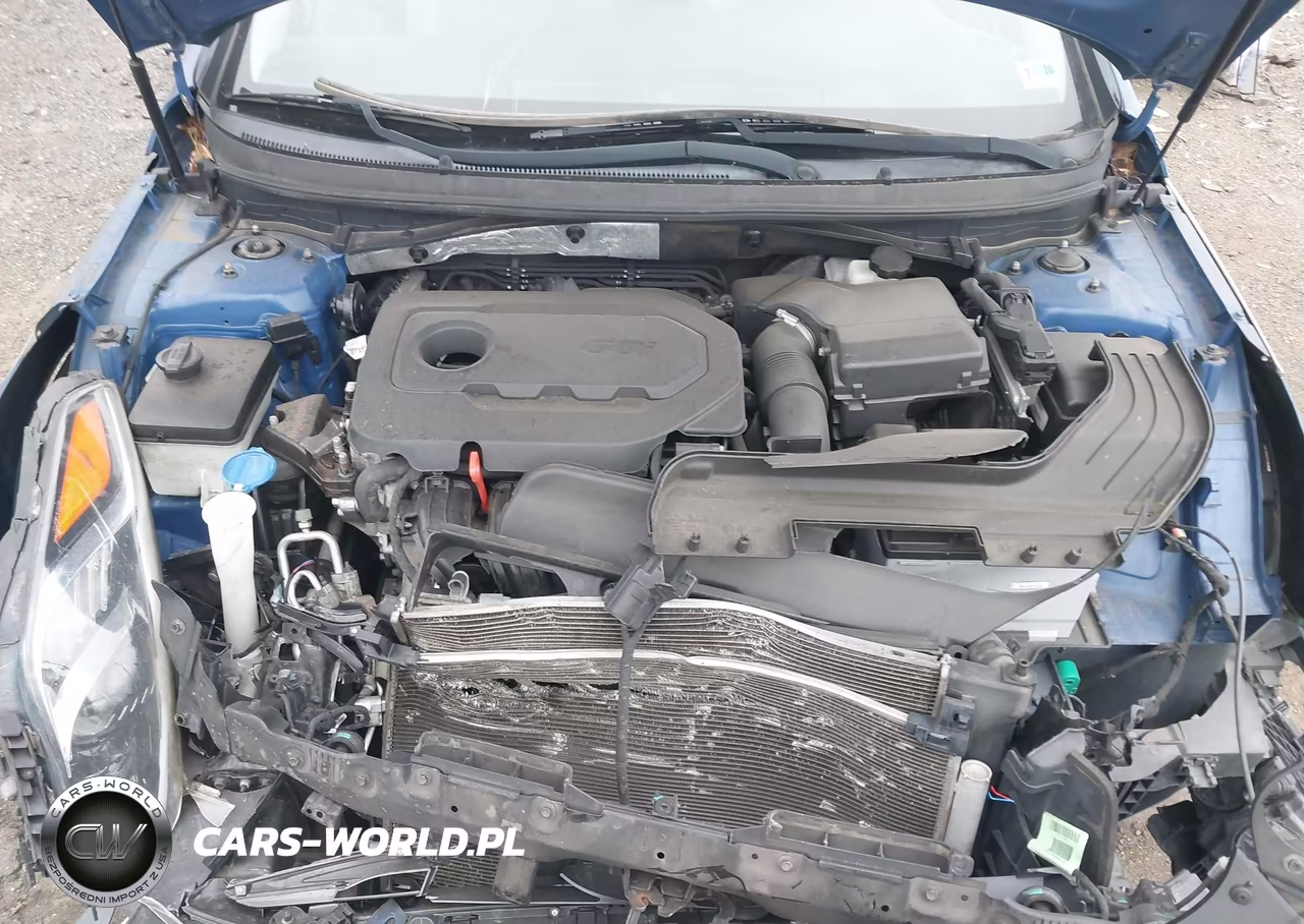 2015 Hyundai Sonata Sport VIN:5NPE34AF3FH113623 - 10