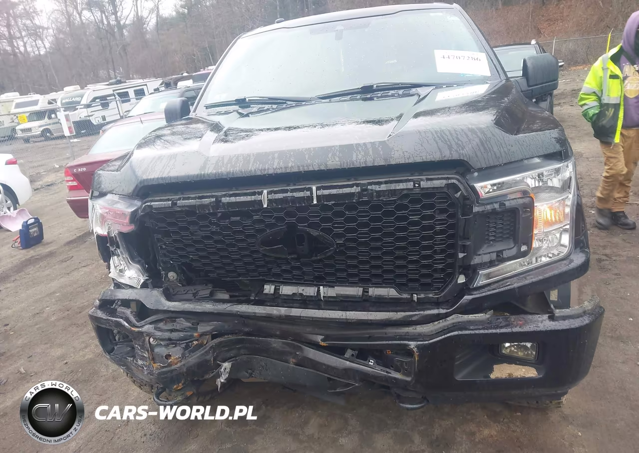 2019 Ford F-150 Xl VIN:1FTEW1EP2KFC00359 - 12