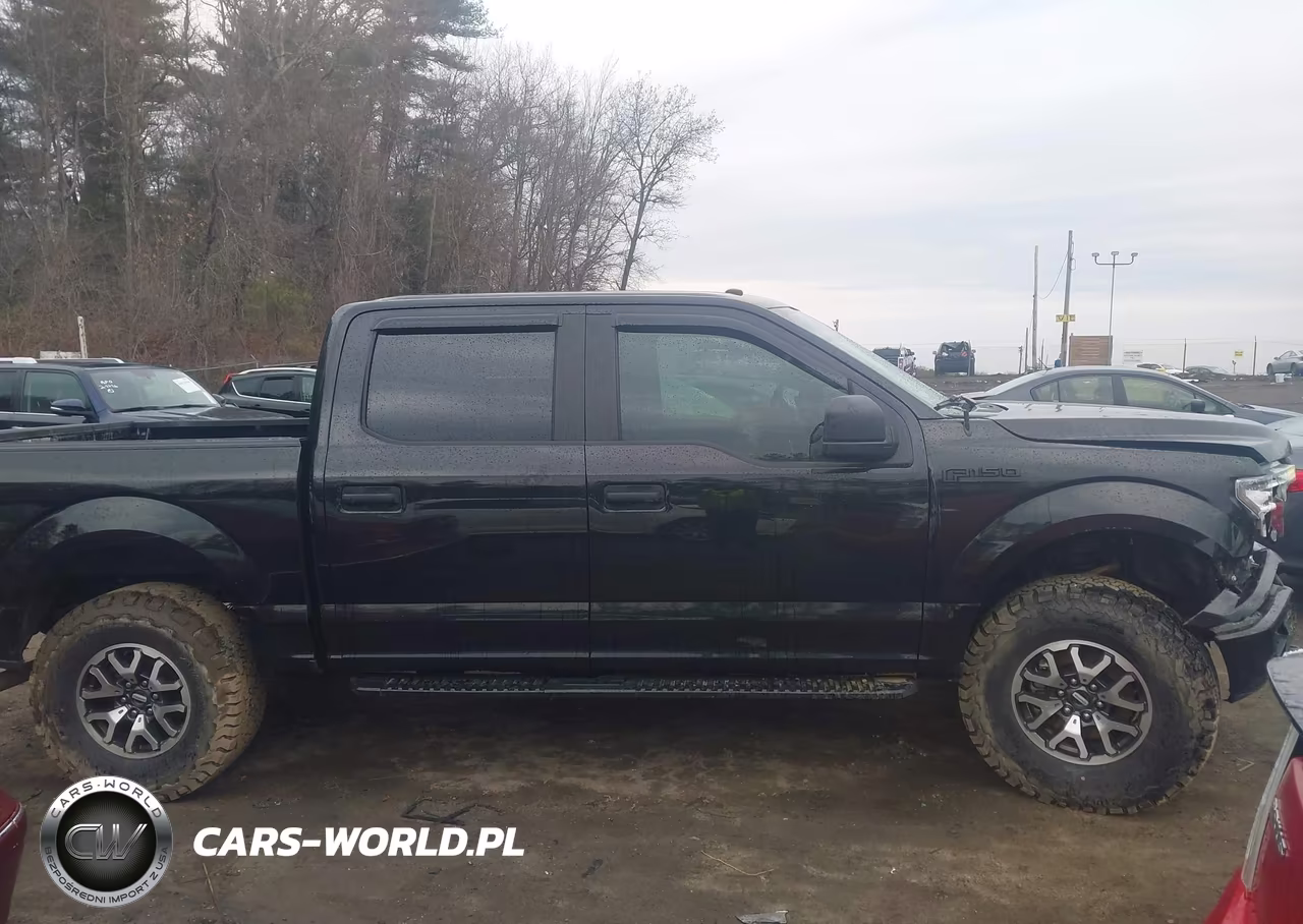 2019 Ford F-150 Xl VIN:1FTEW1EP2KFC00359 - 13
