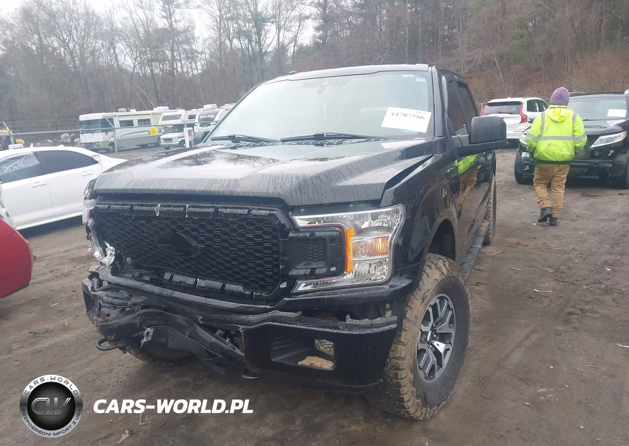 2019 Ford F-150 Xl VIN:1FTEW1EP2KFC00359 - 2