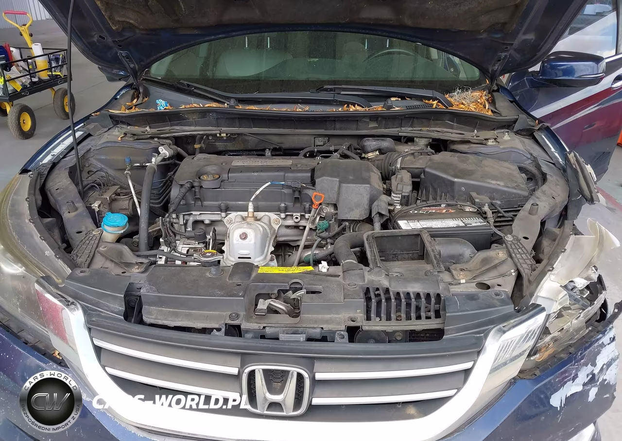 2013 Honda Accord Ex-L VIN:1HGCR2F85DA119322 - 10