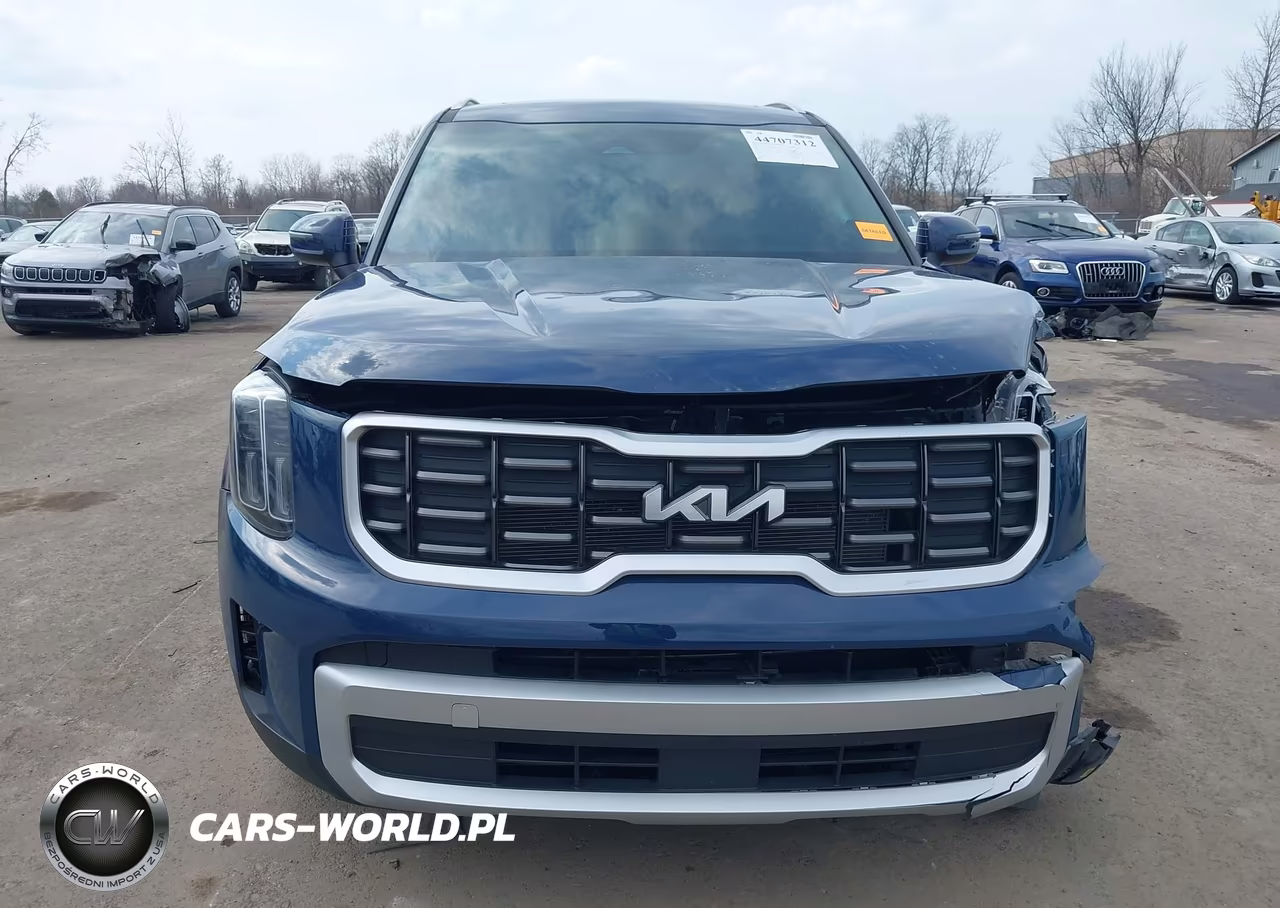 2024 Kia Telluride S VIN:5XYP6DGC1RG480867 - 12