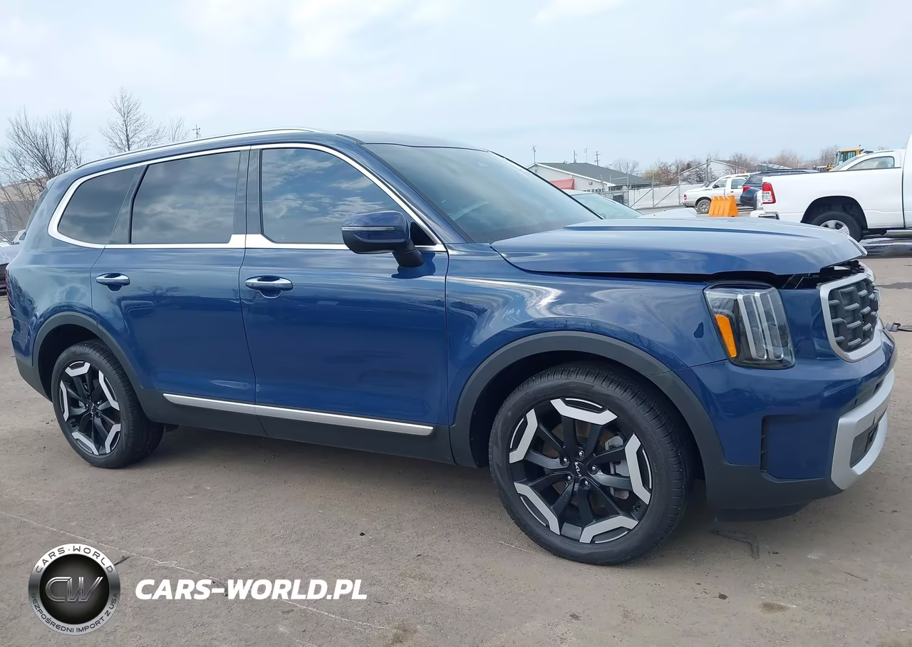 2024 Kia Telluride S VIN:5XYP6DGC1RG480867 - 13