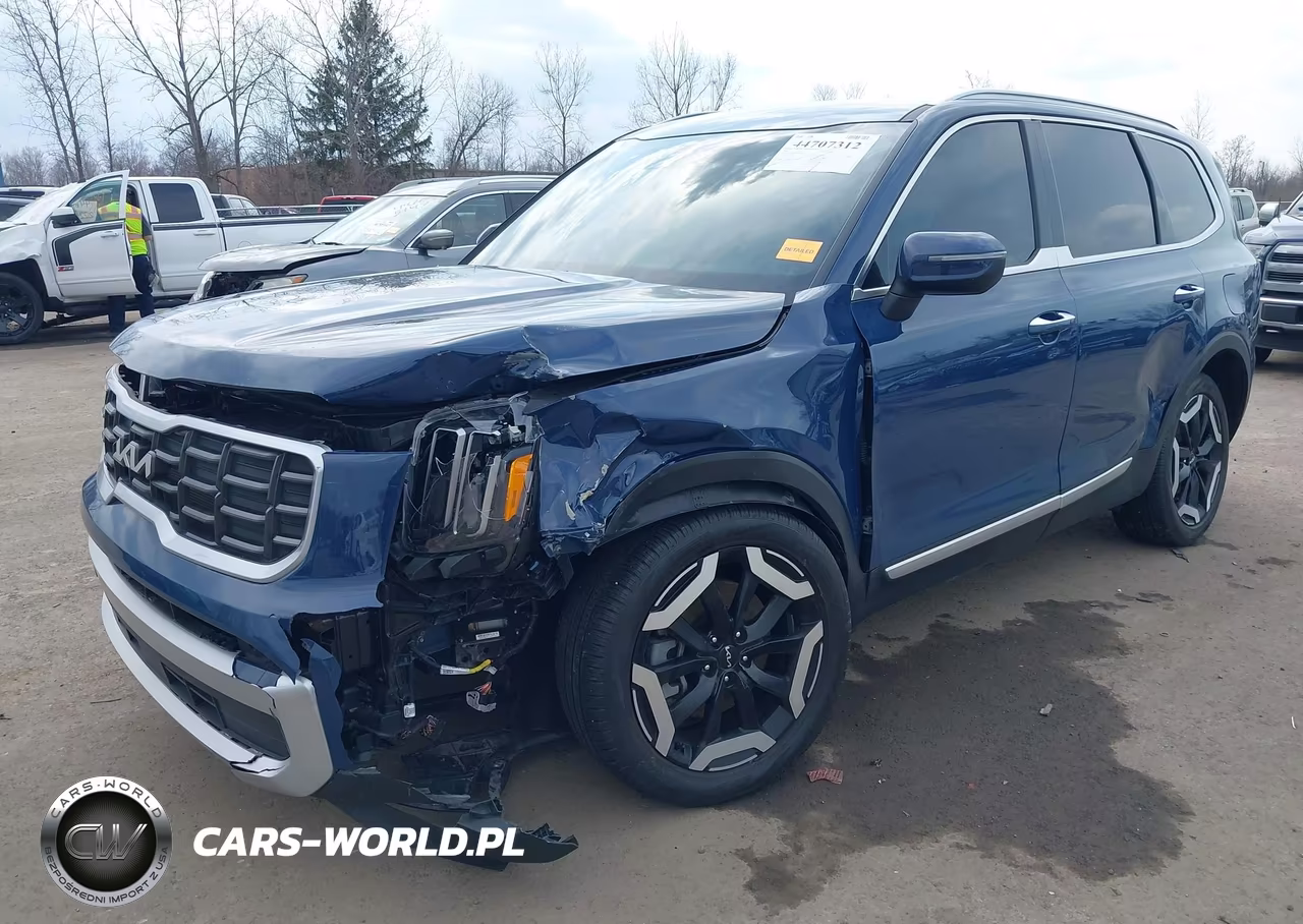 2024 Kia Telluride S VIN:5XYP6DGC1RG480867 - 2