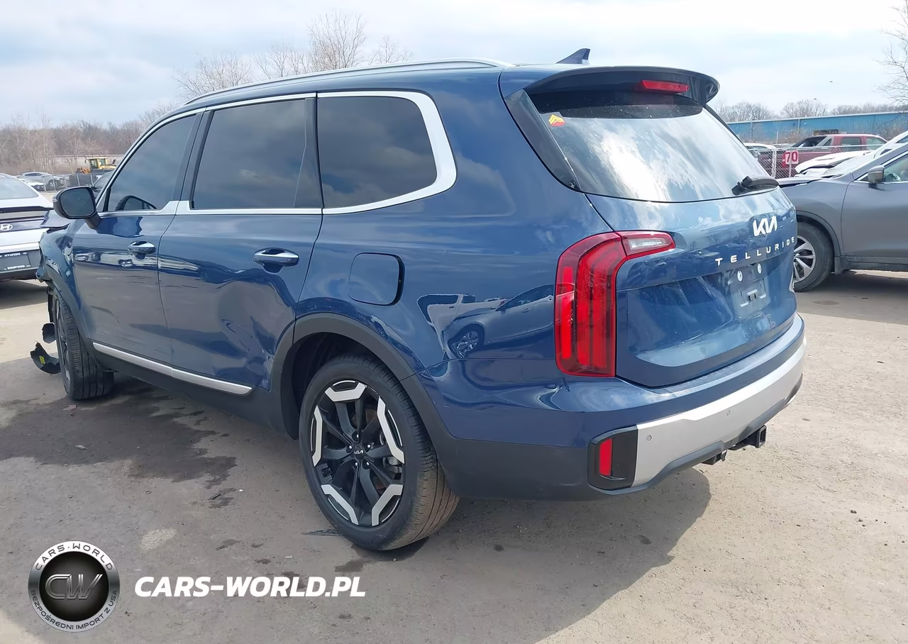 2024 Kia Telluride S VIN:5XYP6DGC1RG480867 - 3