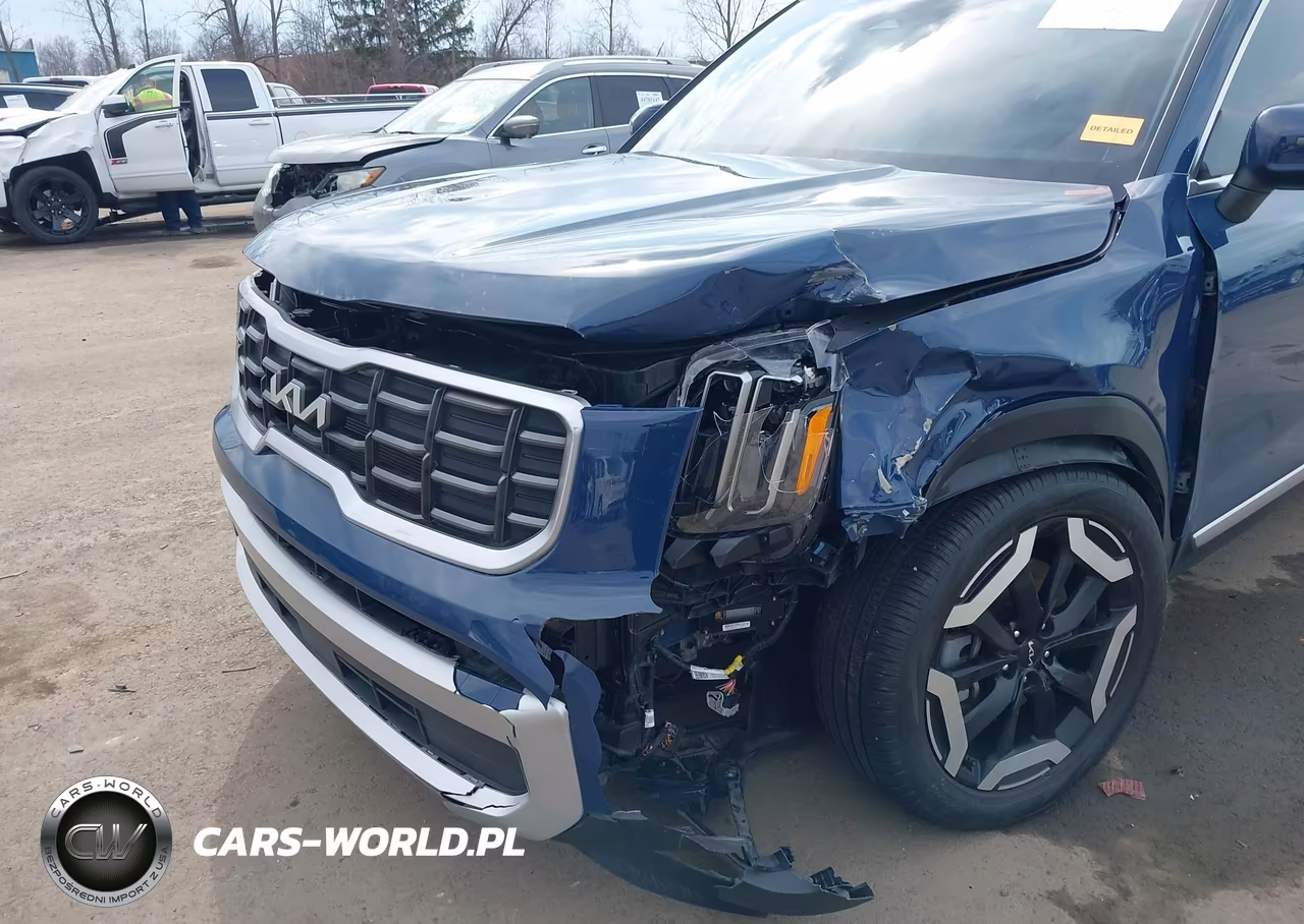 2024 Kia Telluride S VIN:5XYP6DGC1RG480867 - 6