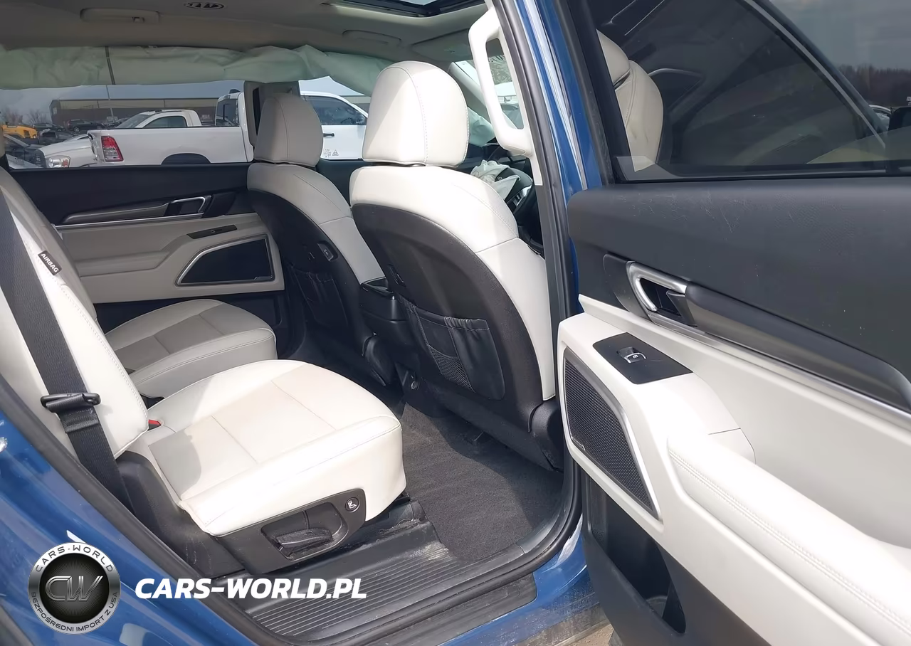 2024 Kia Telluride S VIN:5XYP6DGC1RG480867 - 8