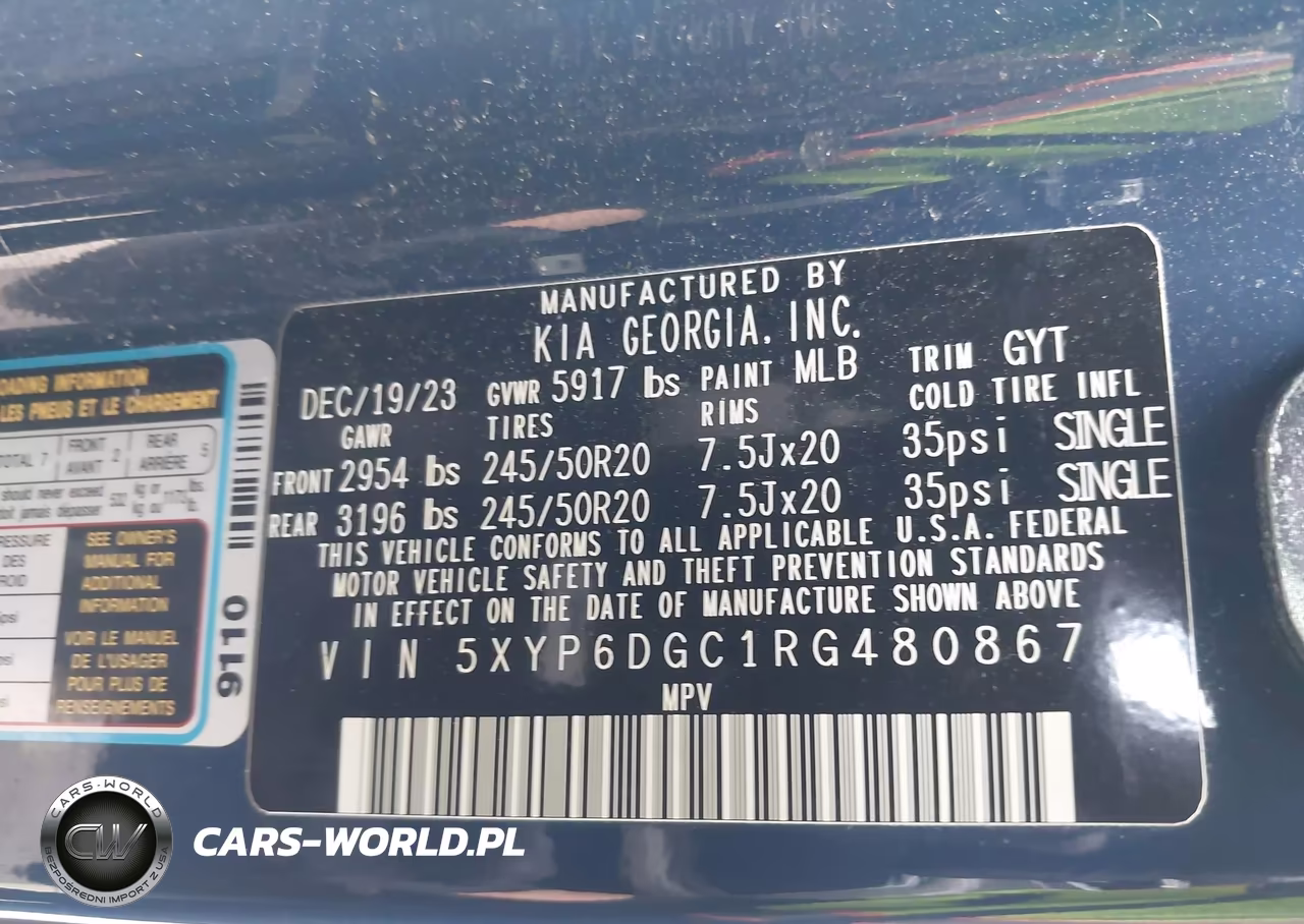 2024 Kia Telluride S VIN:5XYP6DGC1RG480867 - 9