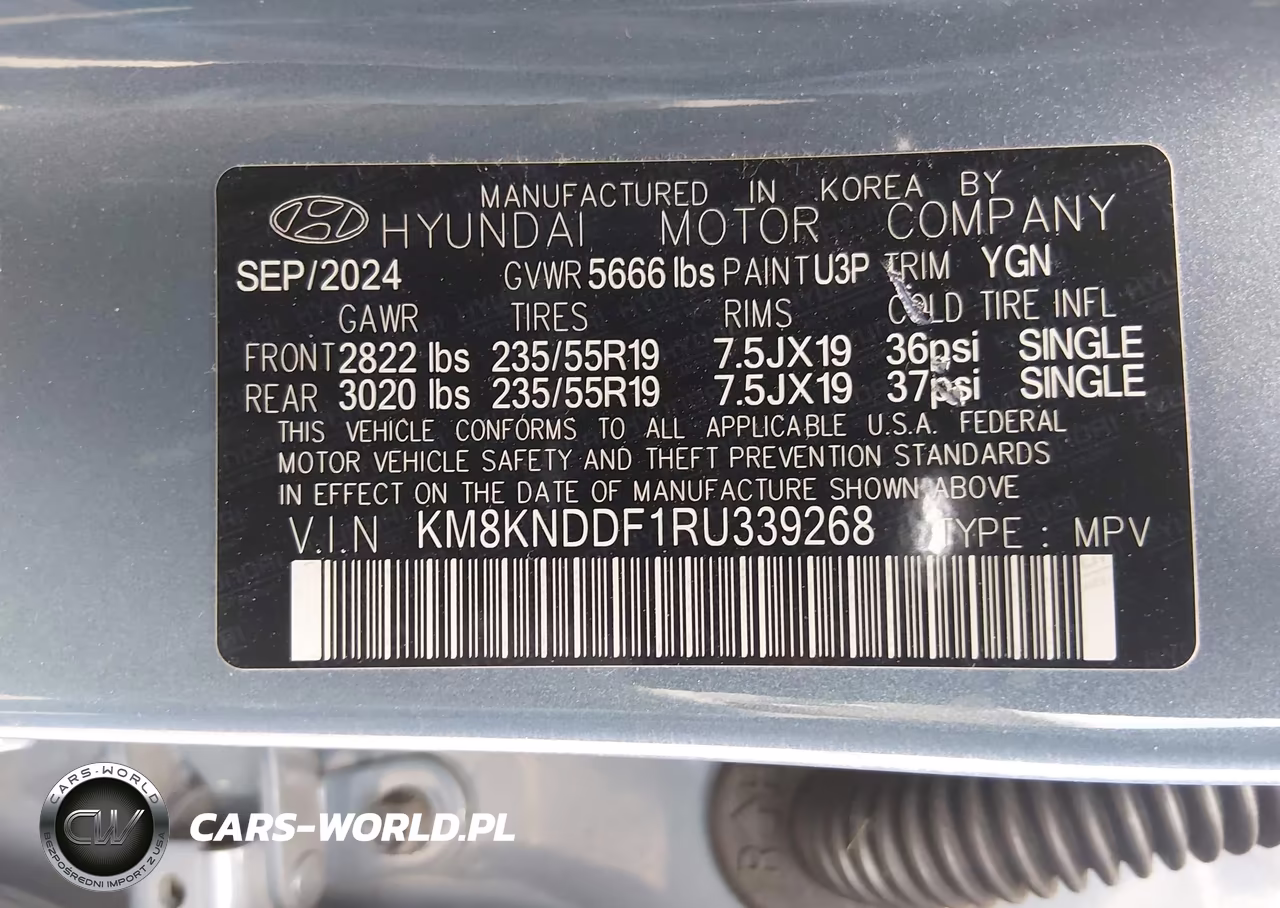 2024 Hyundai Ioniq 5 Sel VIN:KM8KNDDF1RU339268 - 9