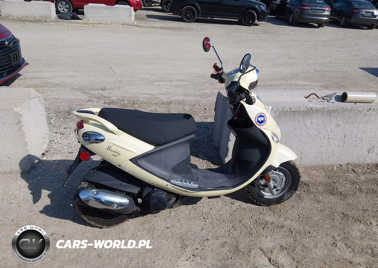 2006 Genuine Scooter Co. Buddy 125 VIN:RFVPAC20061000583 - 12