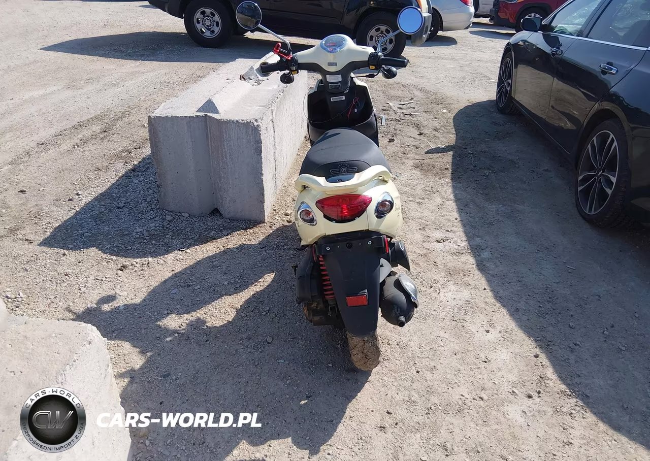 2006 Genuine Scooter Co. Buddy 125 VIN:RFVPAC20061000583 - 6
