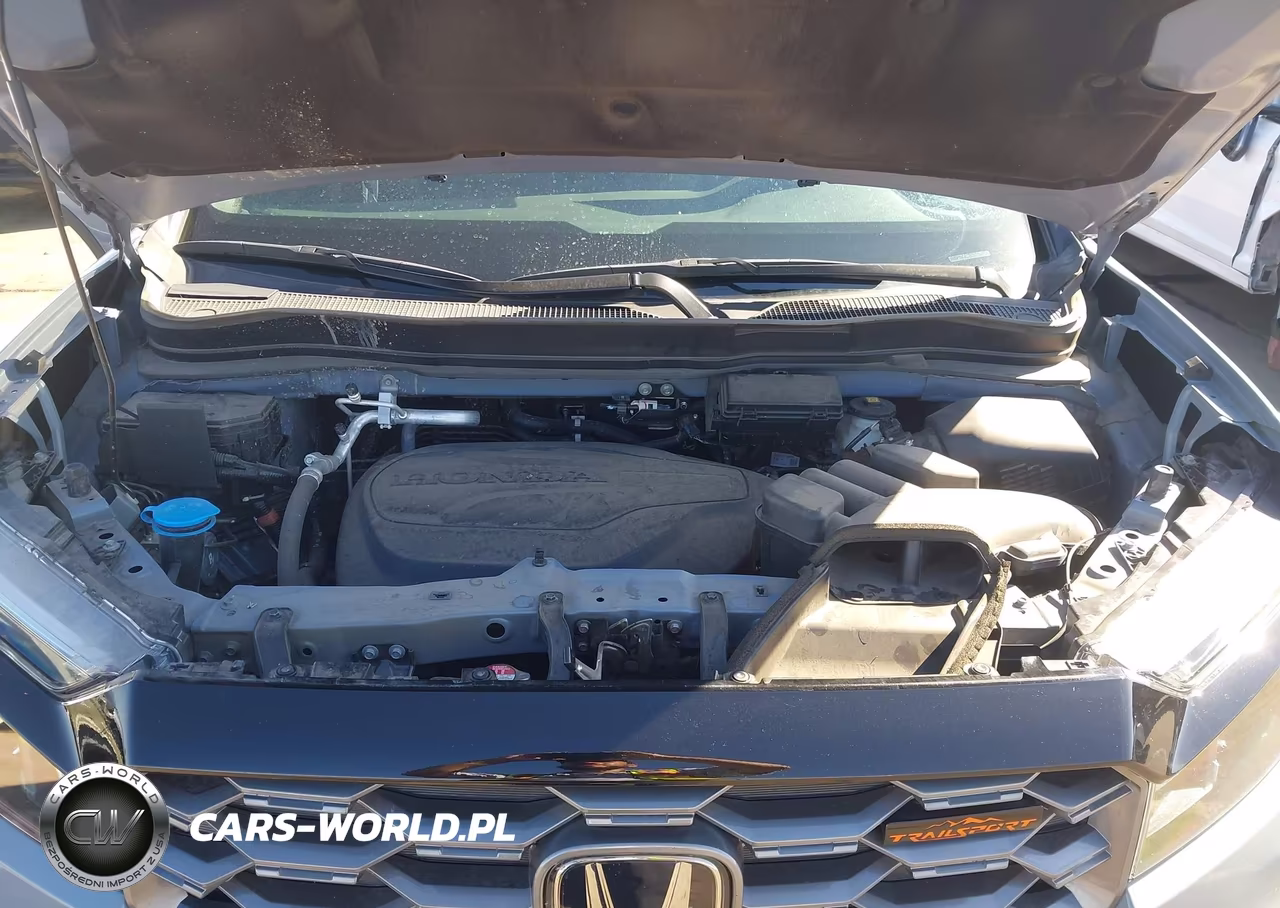 2024 Honda Passport Awd Trailsport VIN:5FNYF8H68RB005289 - 10
