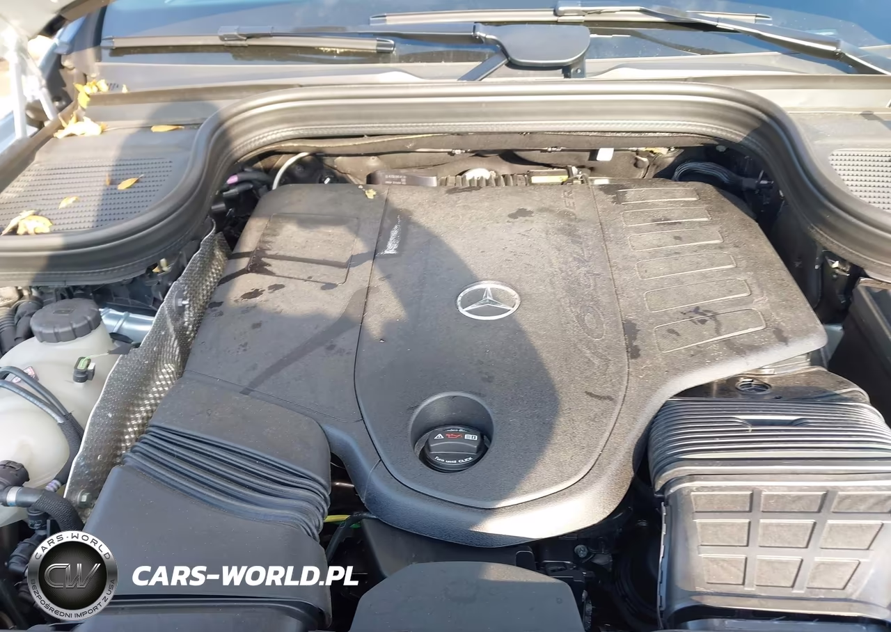 2025 Mercedes-Benz Gls 450 4Matic VIN:4JGFF5KE6SB391026 - 10