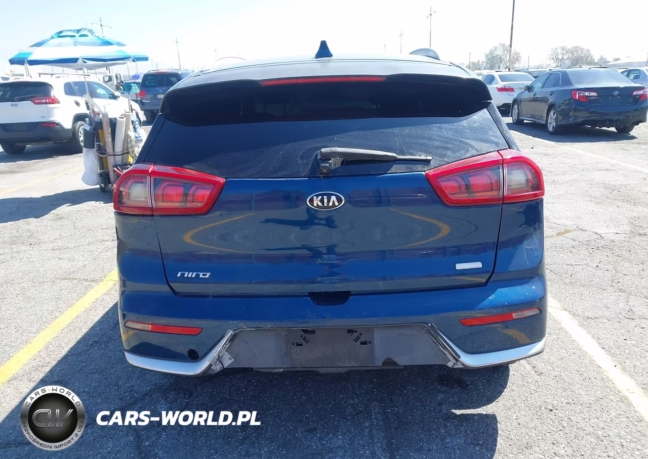 2019 Kia Niro Lx VIN:KNDCB3LC3K5301432 - 17