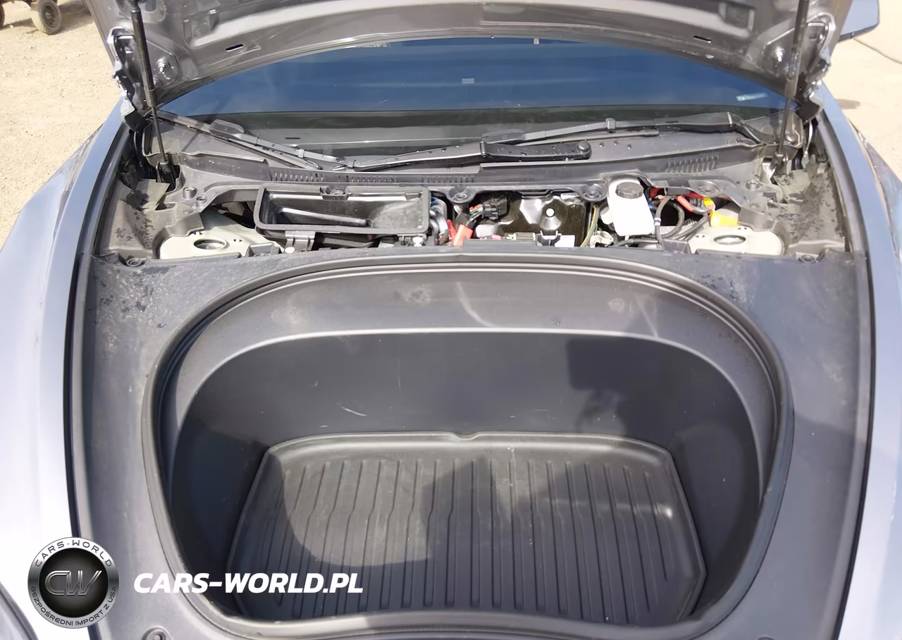 2025 Tesla Model 3 Long Range Rear-Wheel Drive-Standard Rear-Wheel Drive VIN:5YJ3E1EAXSF070874 - 10