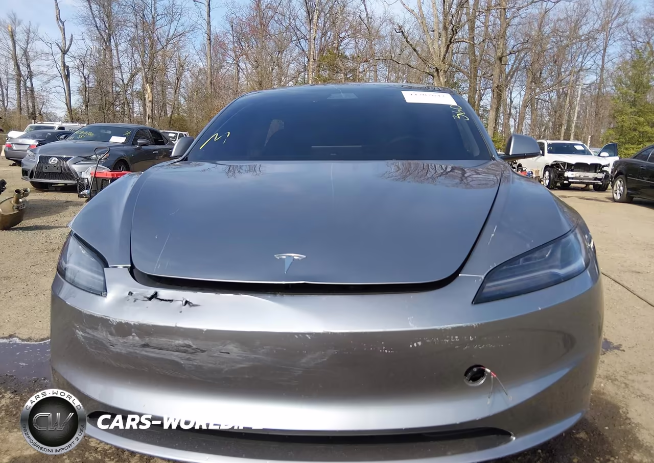 2025 Tesla Model 3 Long Range Rear-Wheel Drive-Standard Rear-Wheel Drive VIN:5YJ3E1EAXSF070874 - 11