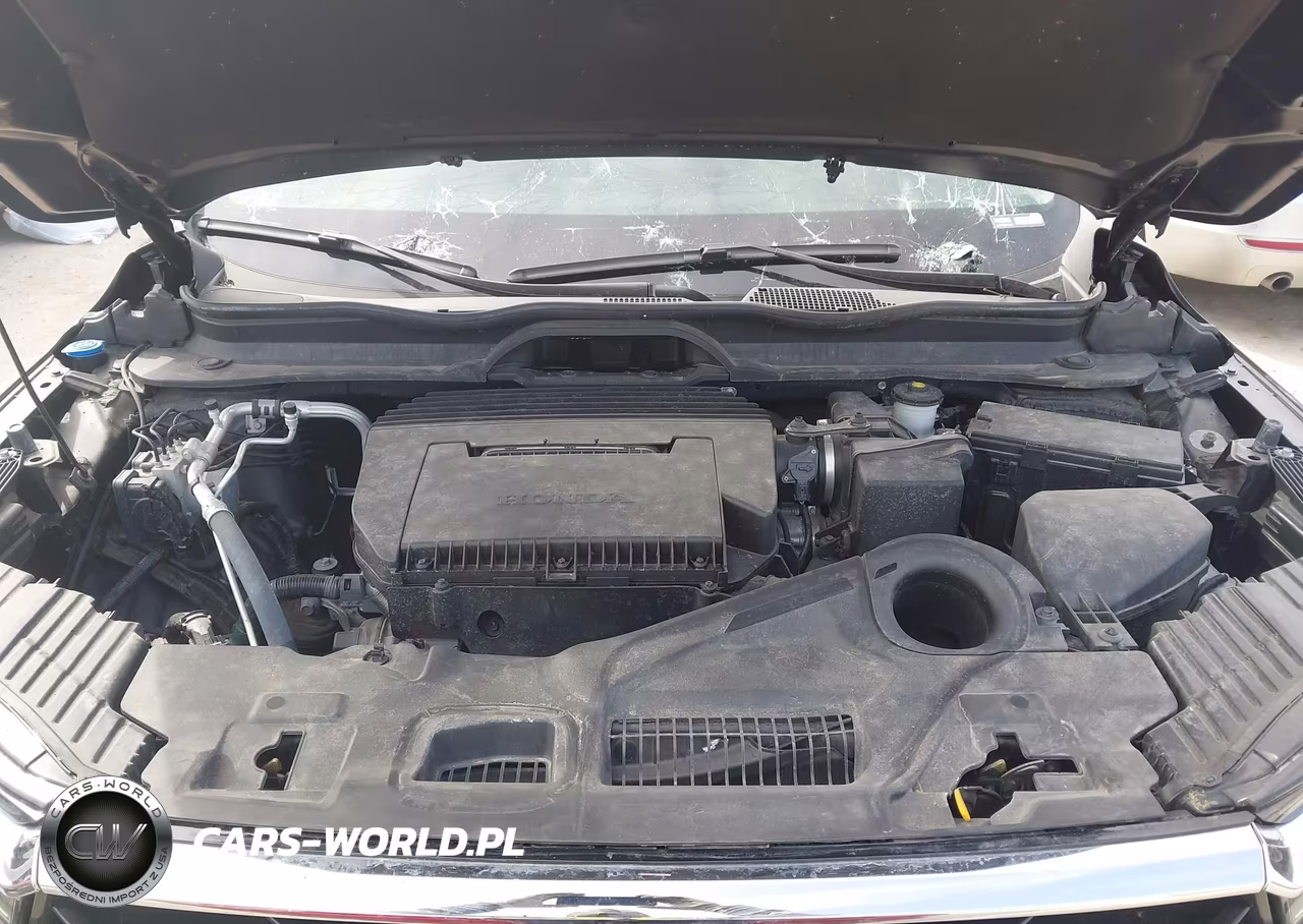 2024 Honda Pilot Elite VIN:5FNYG1H84RB001682 - 10