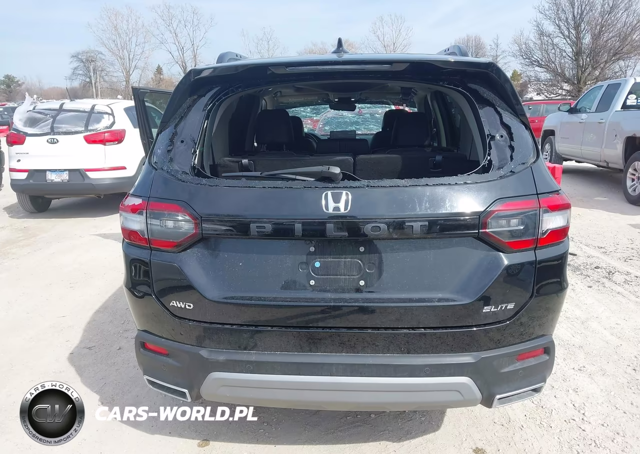 2024 Honda Pilot Elite VIN:5FNYG1H84RB001682 - 6