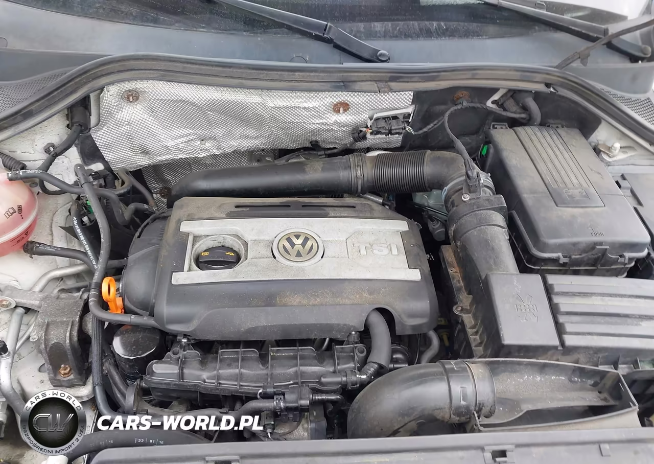 2016 Volkswagen Tiguan S VIN:WVGBV7AX5GW602328 - 10