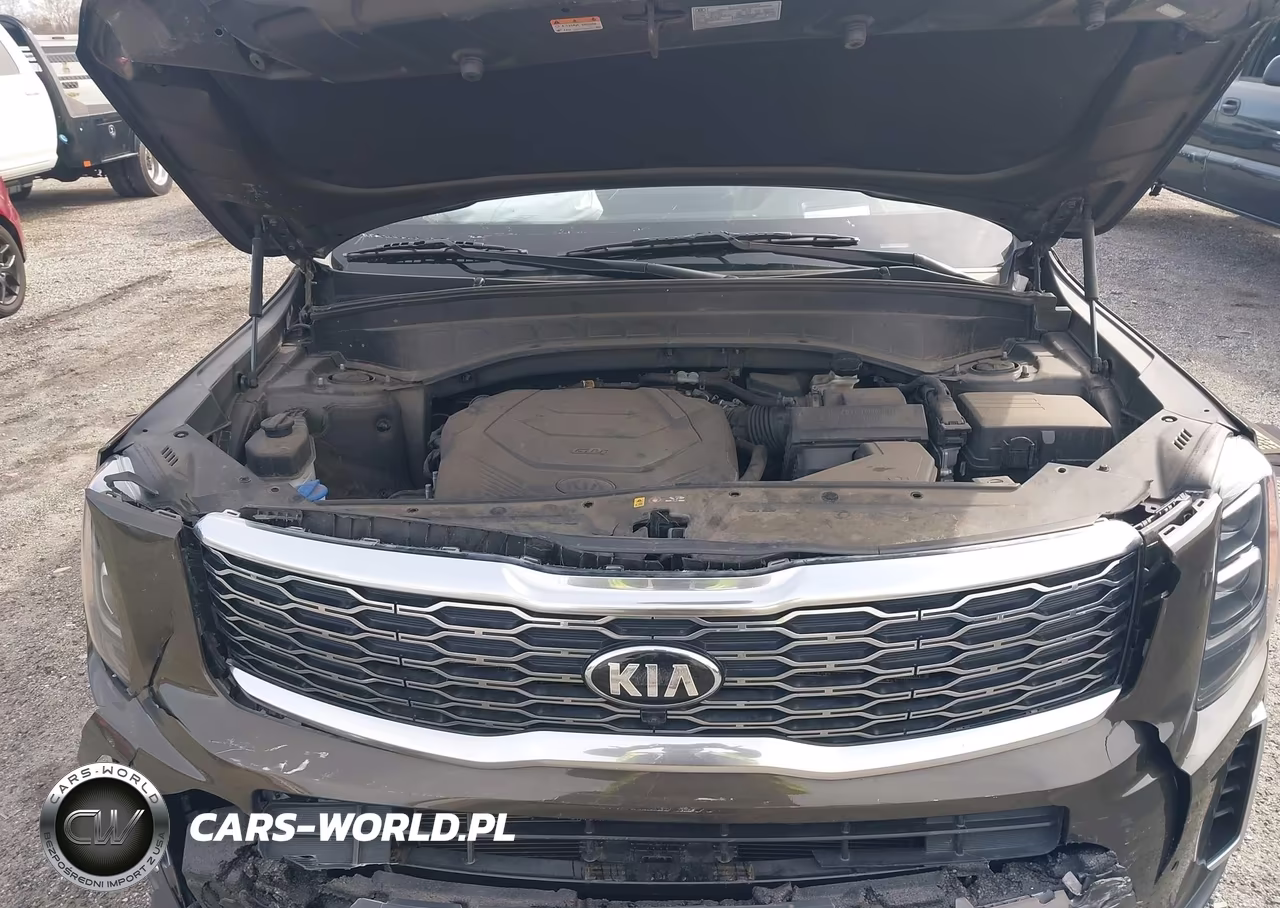2021 Kia Telluride Sx VIN:5XYP5DHC9MG125990 - 10