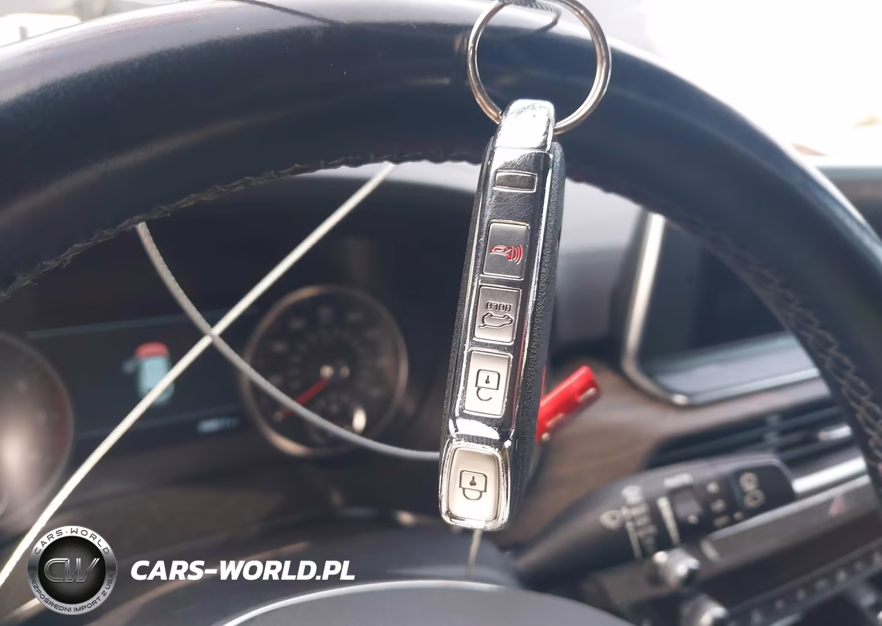 2021 Kia Telluride Sx VIN:5XYP5DHC9MG125990 - 11