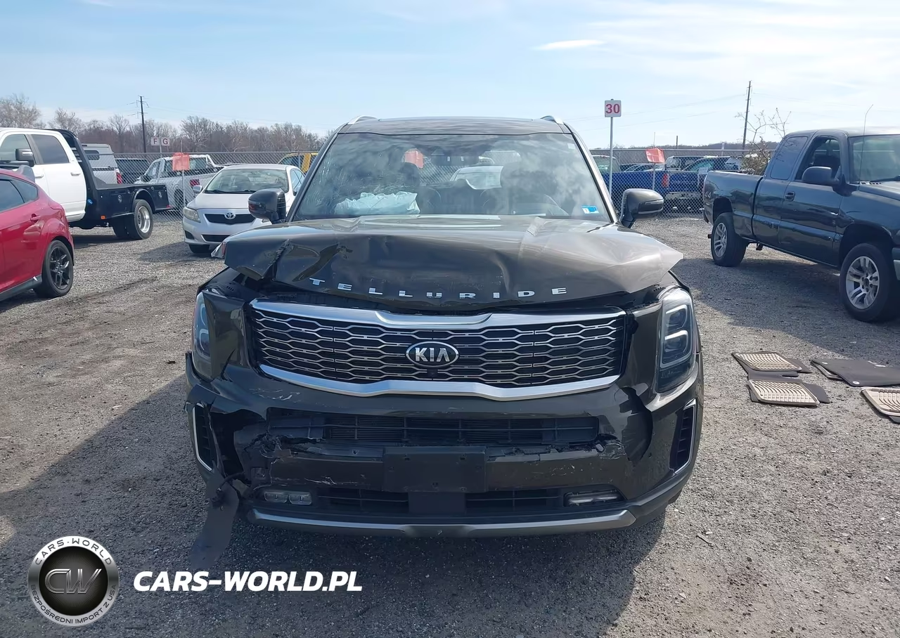 2021 Kia Telluride Sx VIN:5XYP5DHC9MG125990 - 12